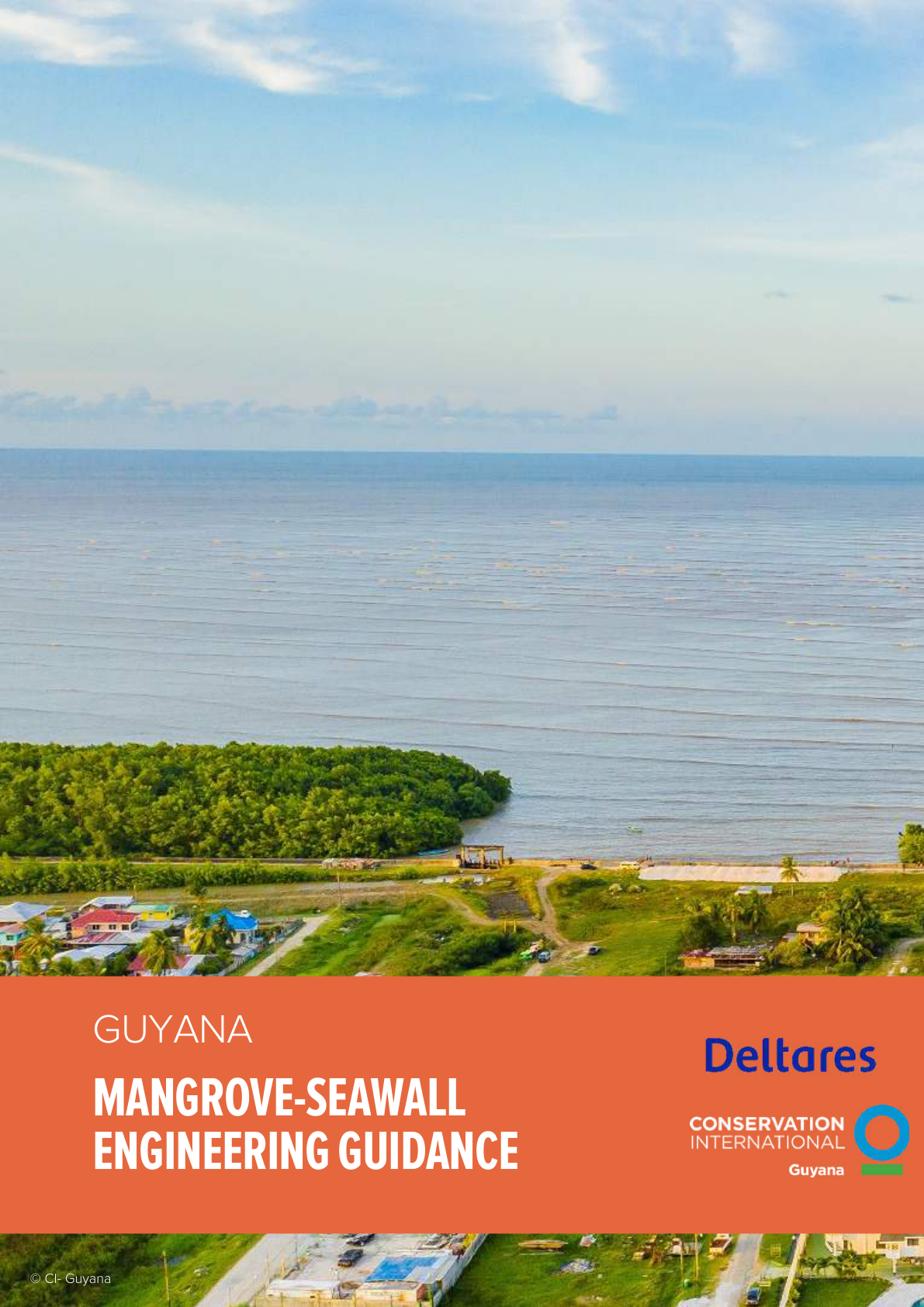 [TEMP] Guyana - Mangrove-Seawall Engineering Guidance